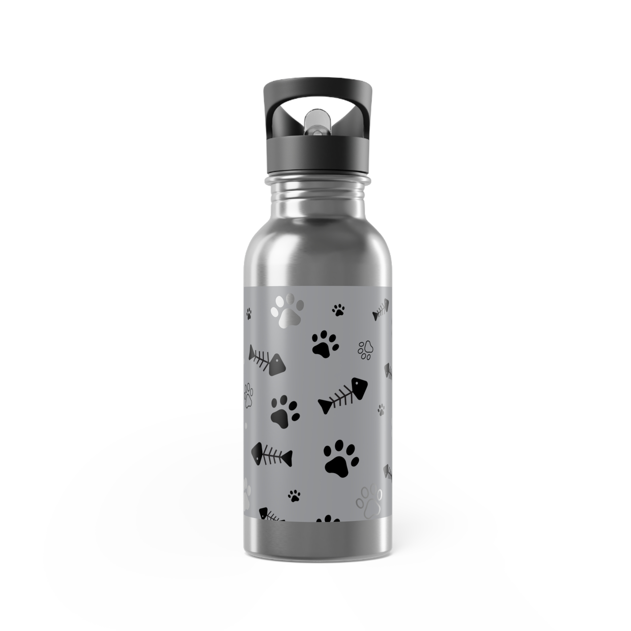 Stainless Steel Water Bottle With Straw, 20oz