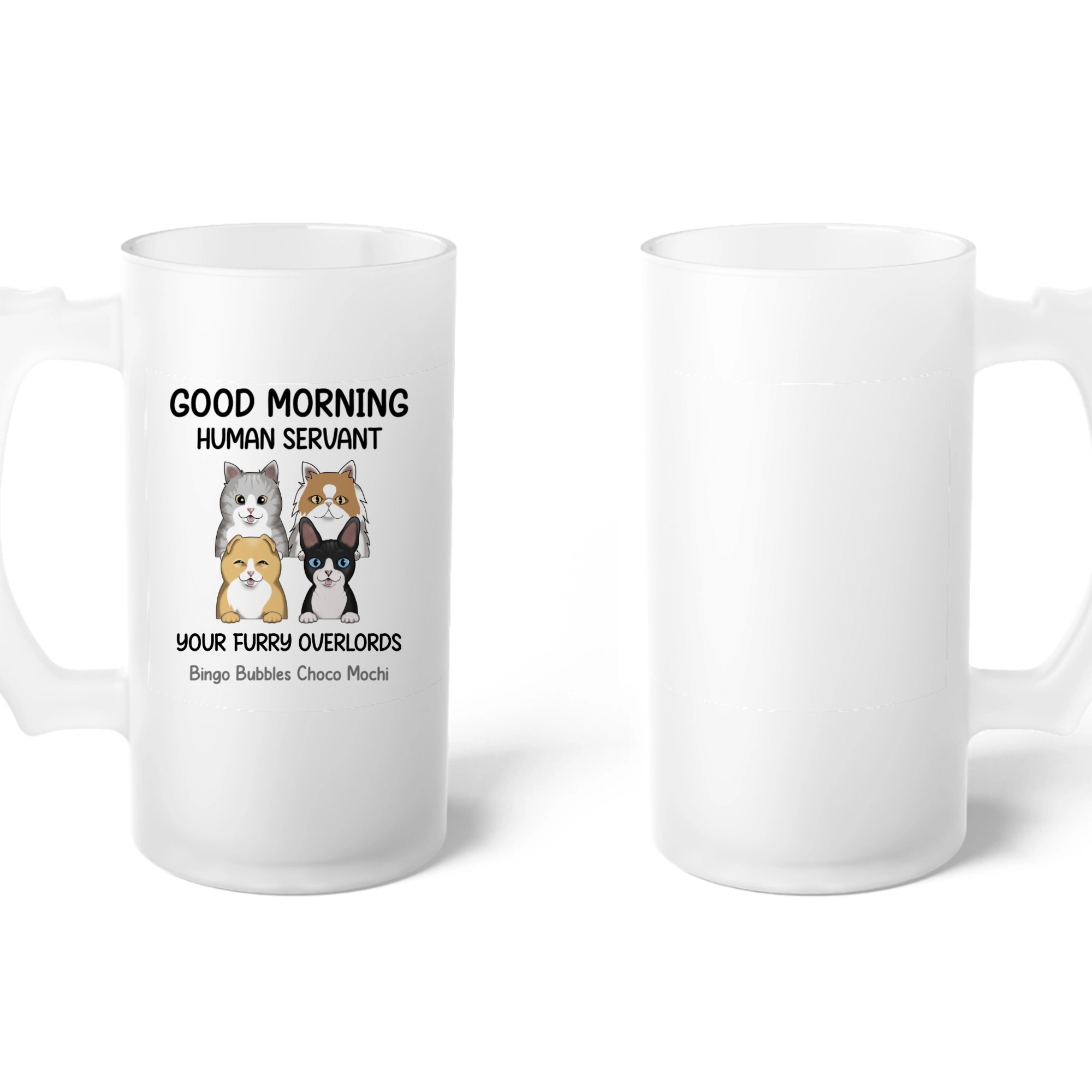 Frosted Glass Beer Mug