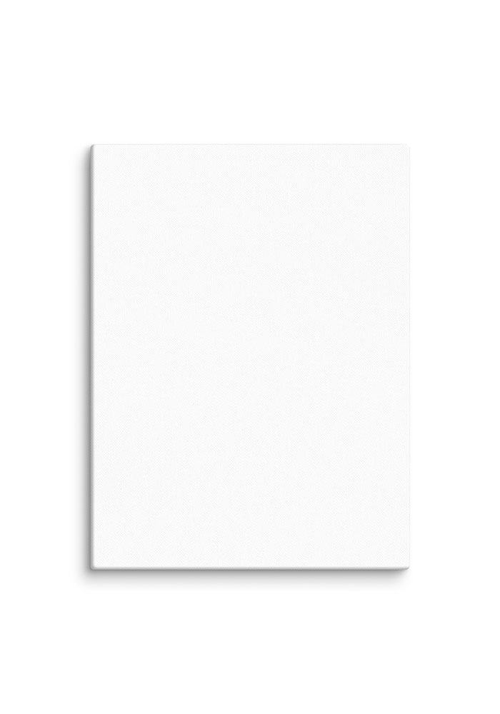 Canvas (in) - Image 41