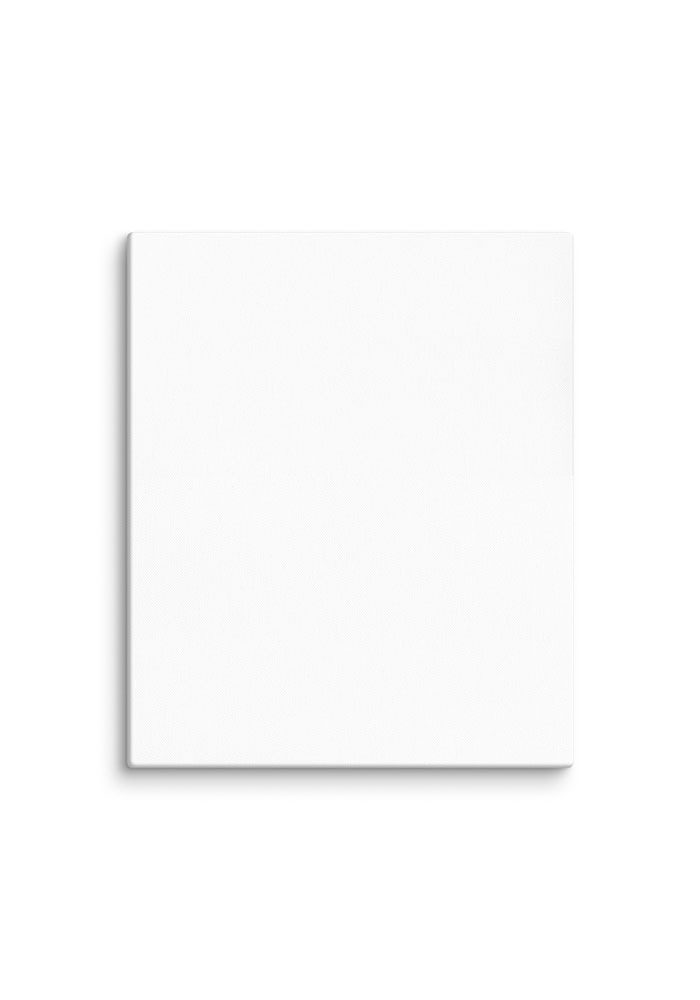 Canvas (in) - Image 15