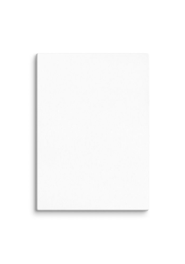 Canvas (in) - Image 16