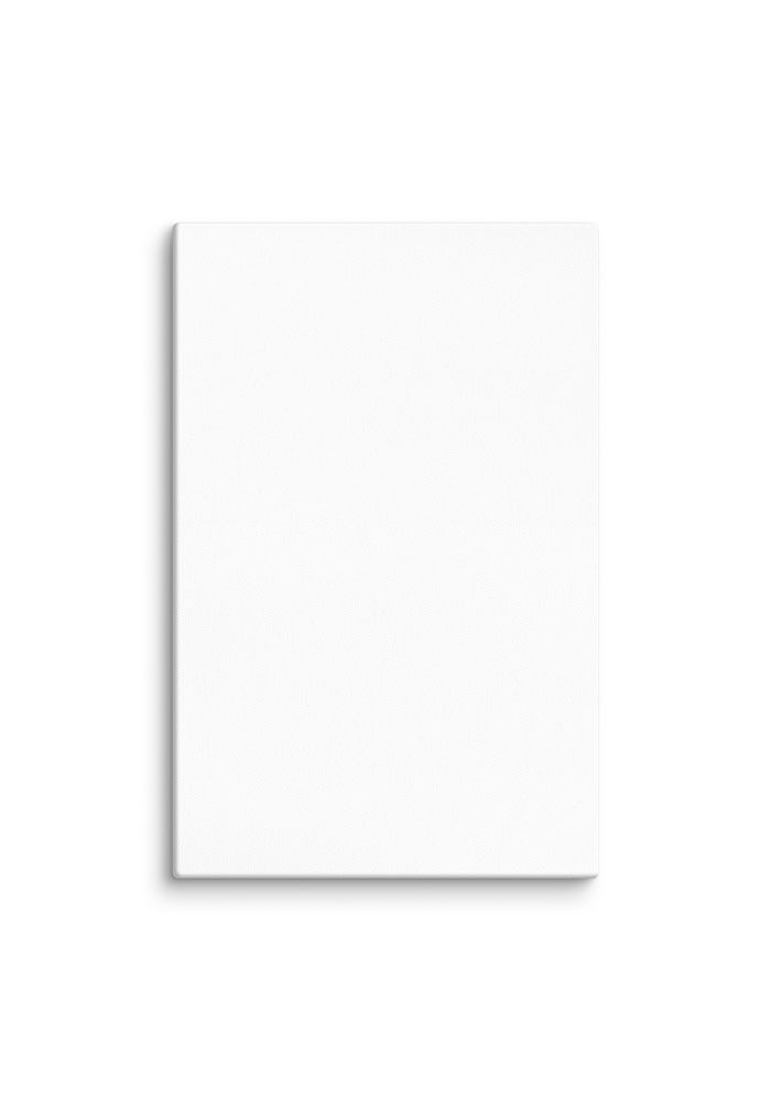 Canvas (in) - Image 25