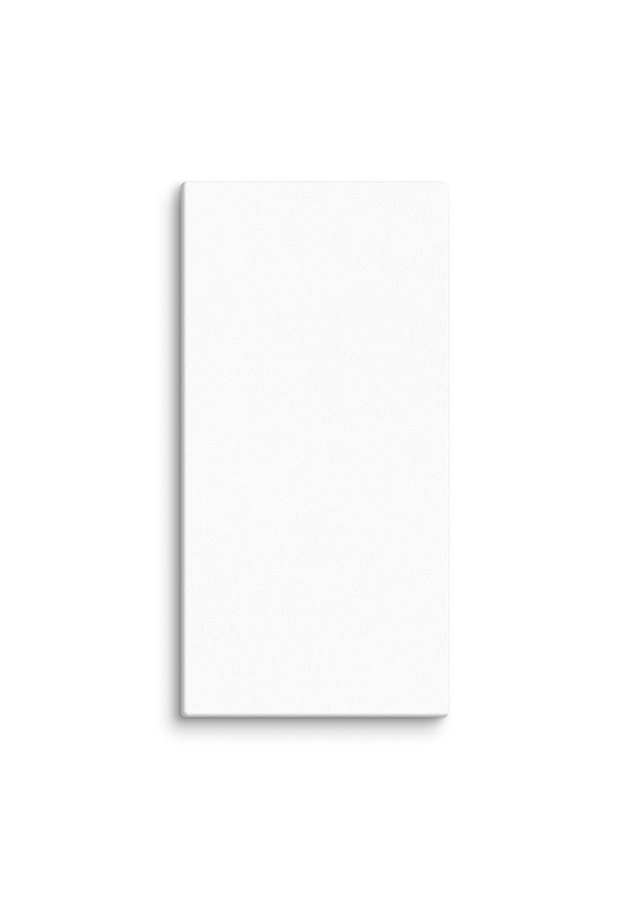 Canvas (in) - Image 30