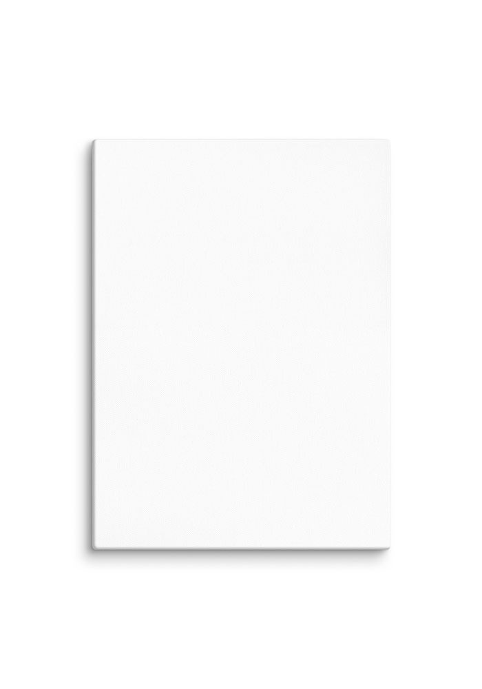Canvas (in) - Image 35
